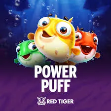 Redtiger : Power Puff - HIGHBET33