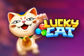 Funky : Lucky Cat - HIGHBET33